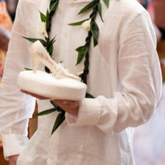 Disney Cinderella Wedding David Tutera Ring bearer Pillow - Picture 13 of 13